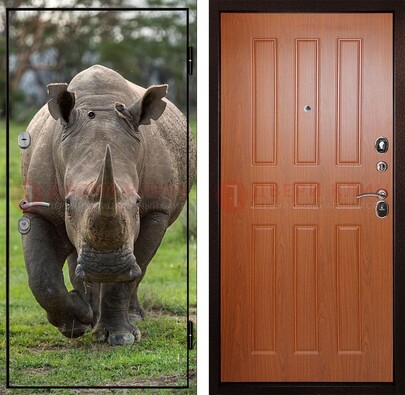 Металлическая дверь с фотопечатью носорога ДФ-31 в Сергиевом Посаде