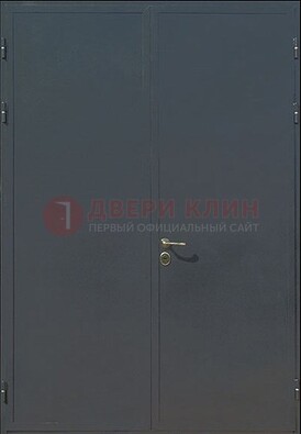 Двухстворчатая техническая дверь ДТ-5 в Сергиевом Посаде
